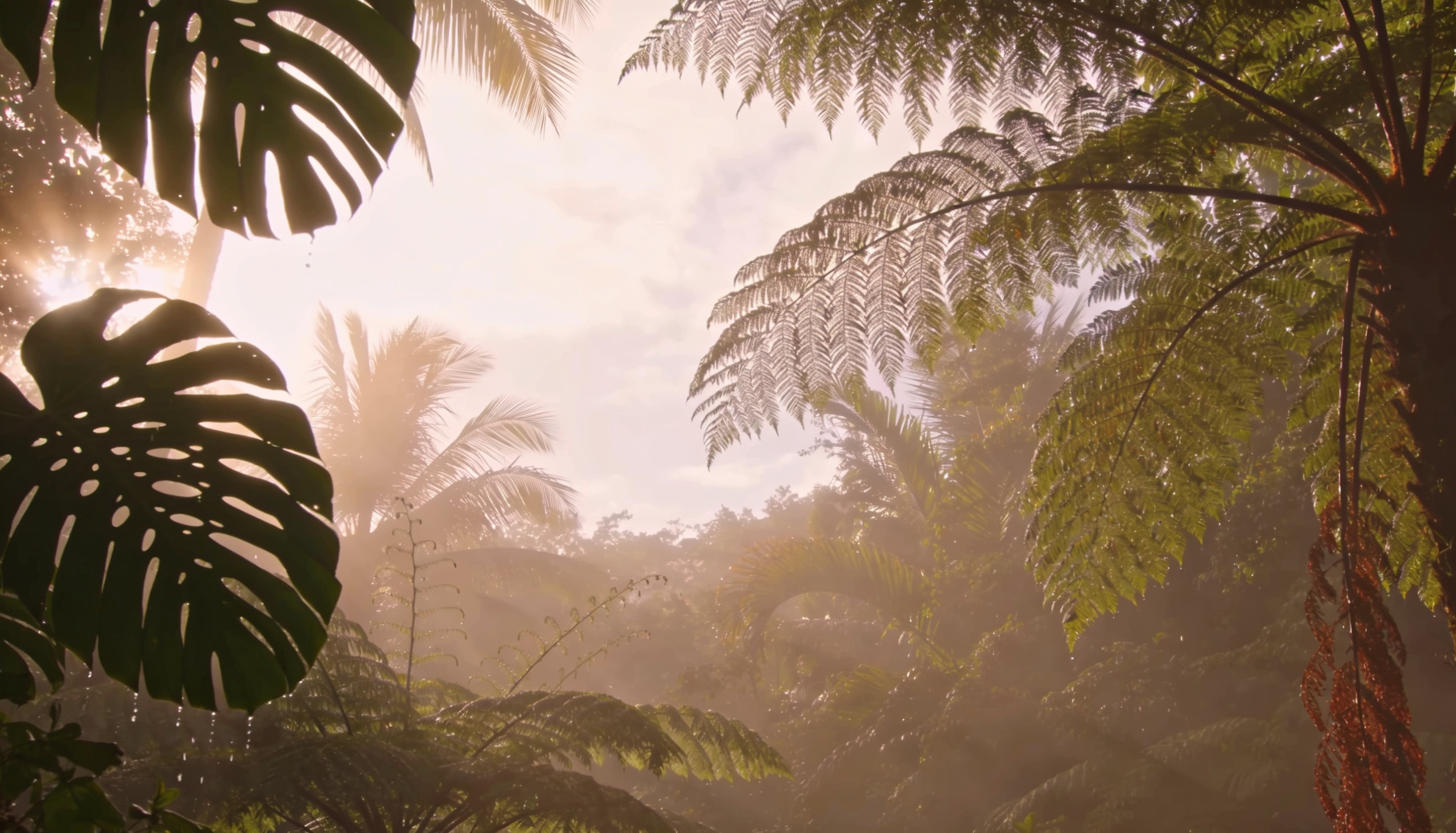 Soft golden dawn light filtering through layered tropical ferns and palms